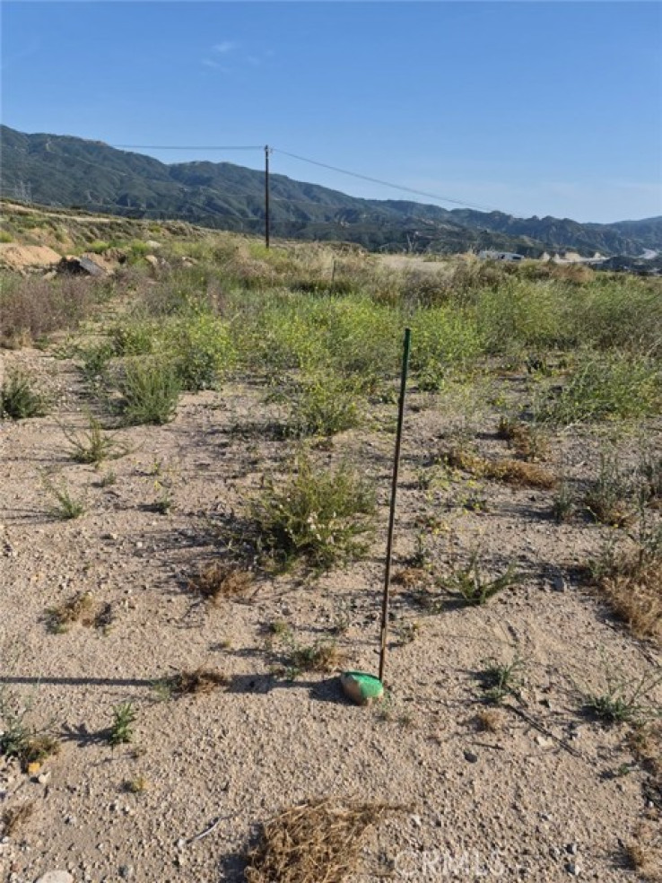  Land for Sale in Newhall, California