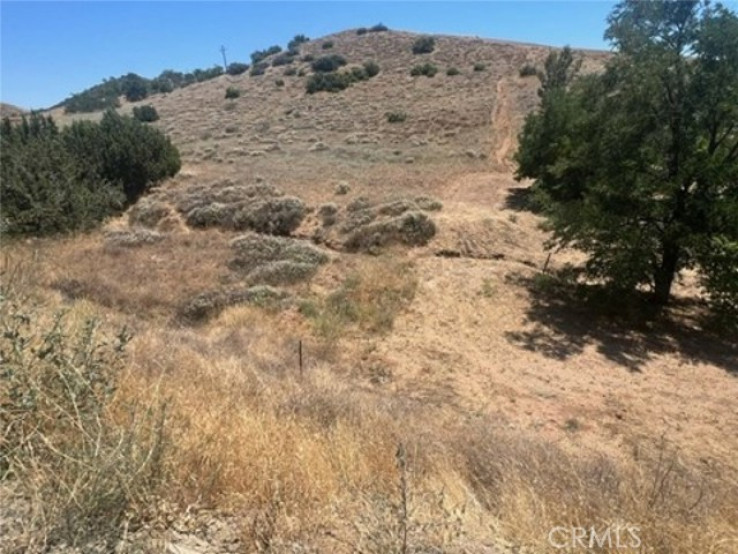 Land in Acton