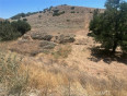  Land for Sale in Acton, California