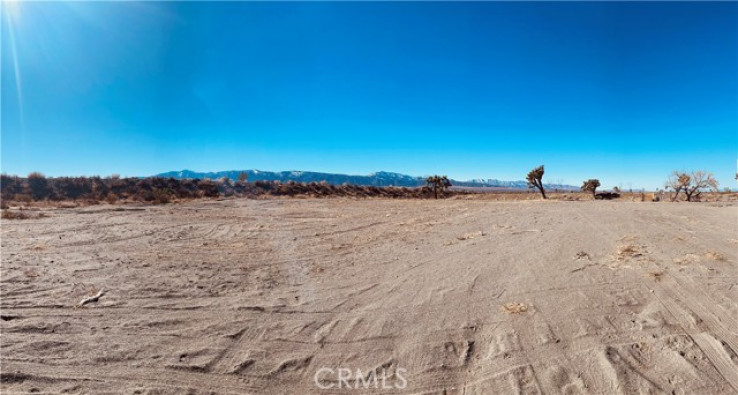  Land for Sale in Pinon Hills, California