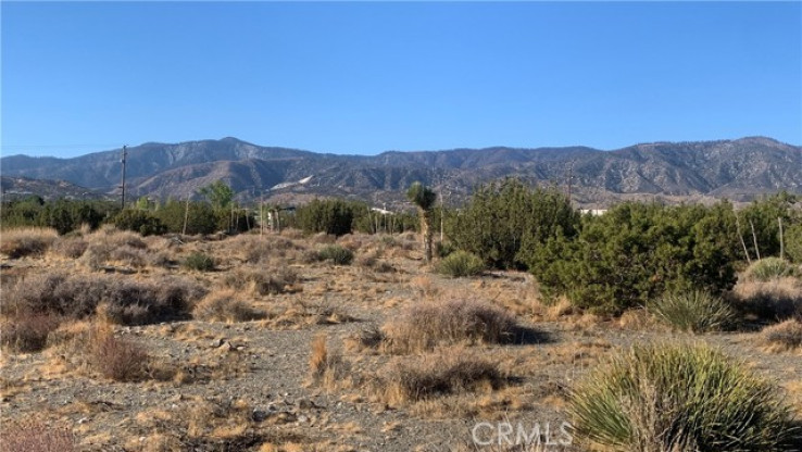 Land in Pinon Hills