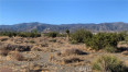  Land for Sale in Pinon Hills, California