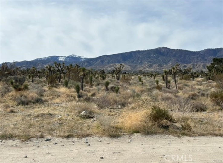  Land for Sale in Pinon Hills, California
