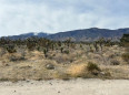  Land for Sale in Pinon Hills, California