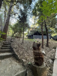 3 Bed Home for Sale in Lake Arrowhead, California