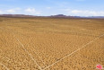  Land for Sale in California City, California