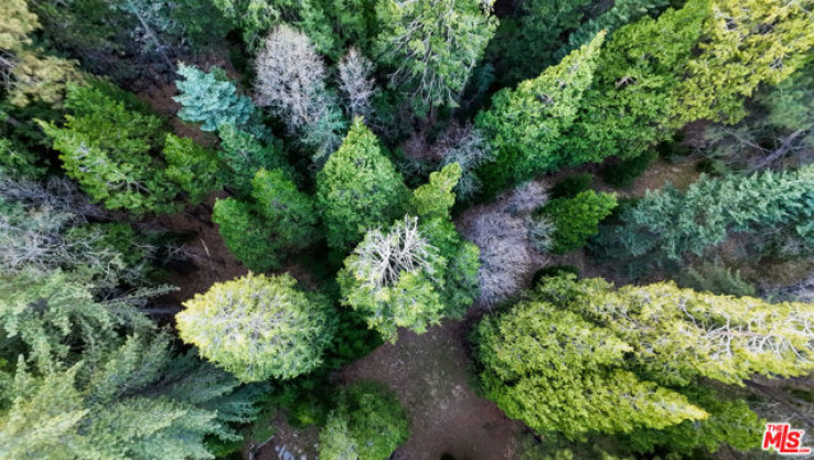  Land for Sale in Lake Arrowhead, California