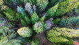  Land for Sale in Lake Arrowhead, California