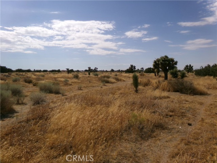  Land for Sale in Phelan, California
