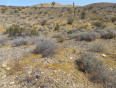  Land for Sale in Adelanto, California