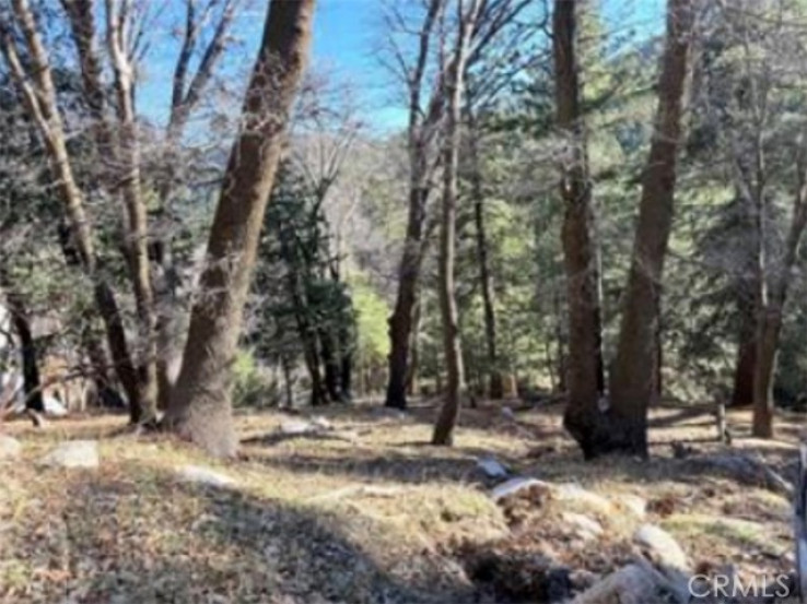  Land for Sale in Lake Arrowhead, California