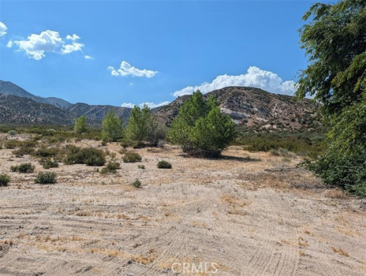  Land for Sale in Phelan, California