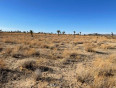  Land for Sale in Adelanto, California