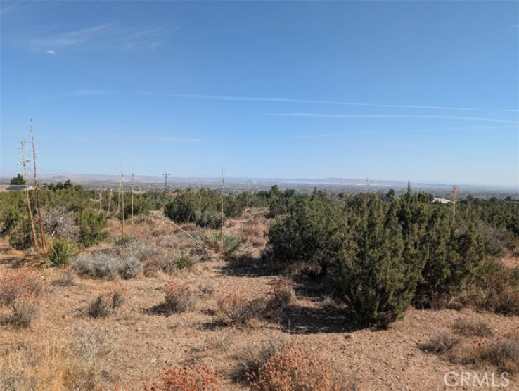  Land for Sale in Pinon Hills, California