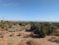  Land for Sale in Pinon Hills, California