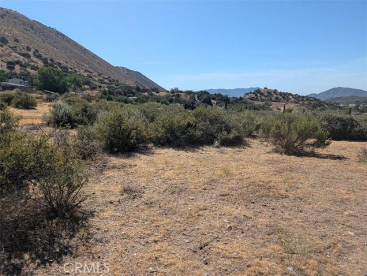  Land for Sale in Phelan, California