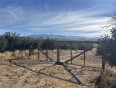  Land for Sale in Phelan, California