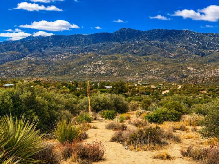  Land for Sale in Mountain Center, California