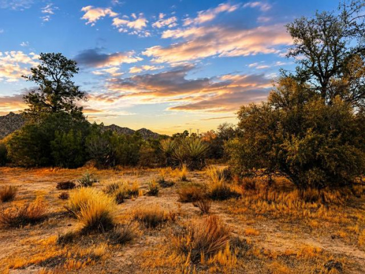  Land for Sale in Mountain Center, California