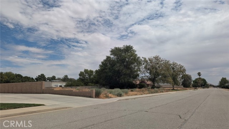  Land for Sale in Rosamond, California