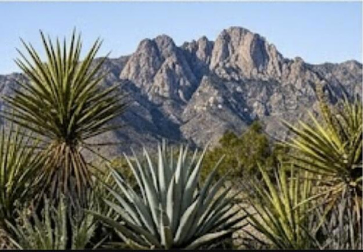  Land for Sale in Mountain Center, California
