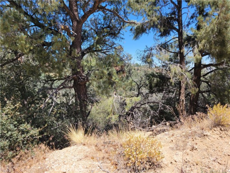  Land for Sale in Wrightwood, California