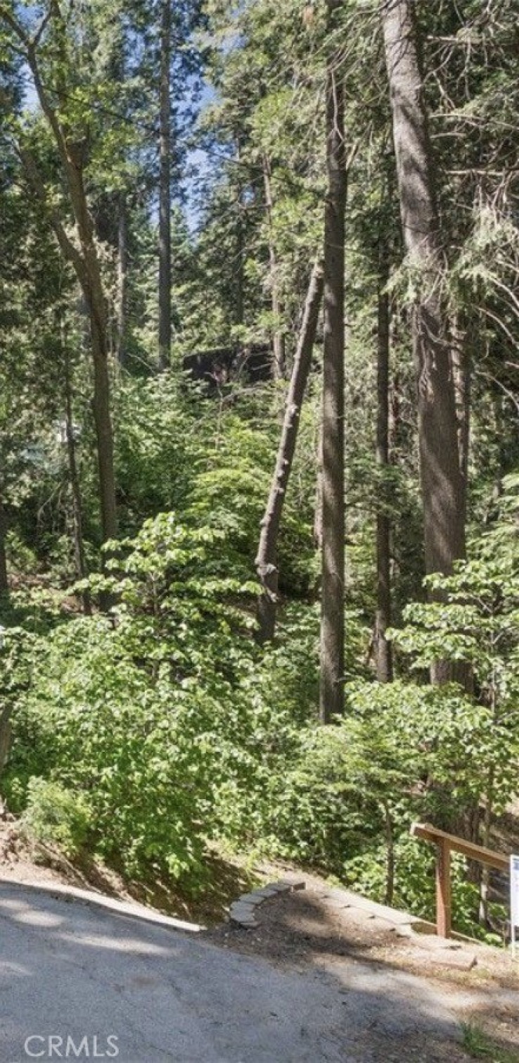  Land for Sale in Lake Arrowhead, California