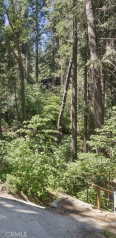  Land for Sale in Lake Arrowhead, California