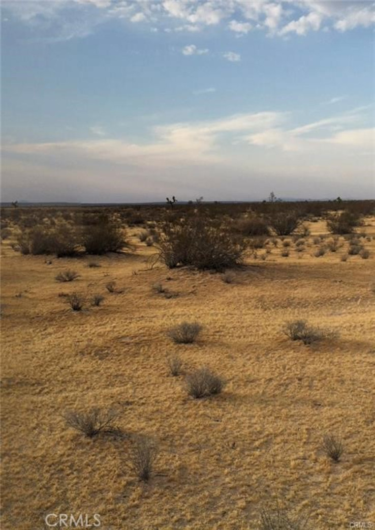  Land for Sale in Adelanto, California
