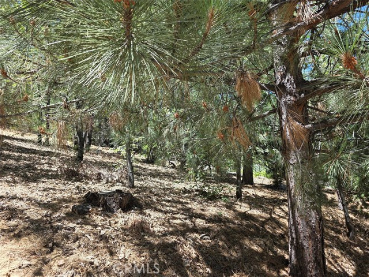  Land for Sale in Lake Arrowhead, California
