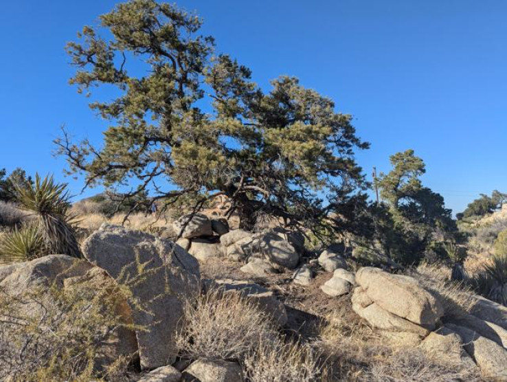  Land for Sale in Mountain Center, California