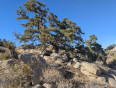  Land for Sale in Mountain Center, California