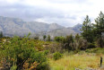  Land for Sale in Mountain Center, California