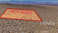  Land for Sale in Palmdale, California