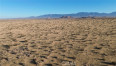  Land for Sale in Palmdale, California