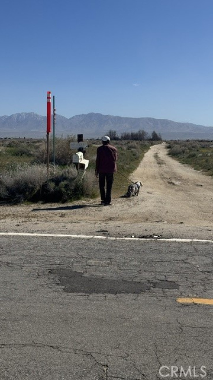  Land for Sale in Palmdale, California