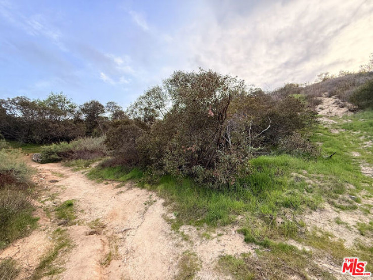  Land for Sale in Tujunga, California