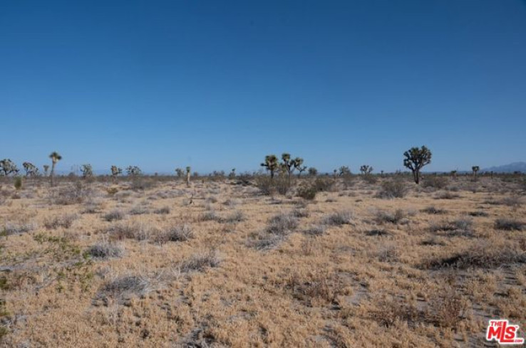  Land for Sale in Adelanto, California