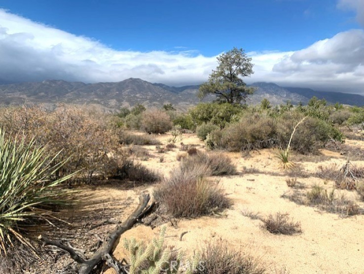  Land for Sale in Mountain Center, California