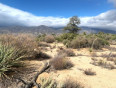  Land for Sale in Mountain Center, California