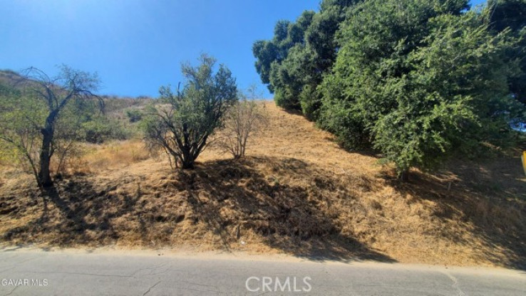 Land in Val Verde