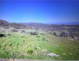  Land for Sale in Malibu, California