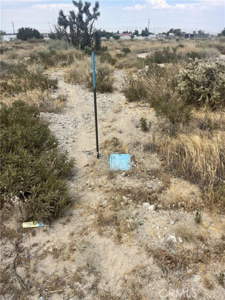 Land in Phelan