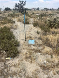  Land for Sale in Phelan, California