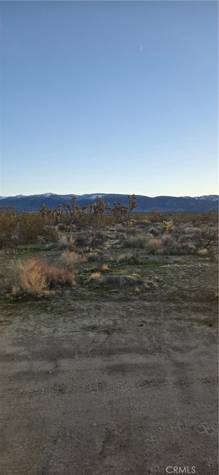  Land for Sale in Littlerock, California