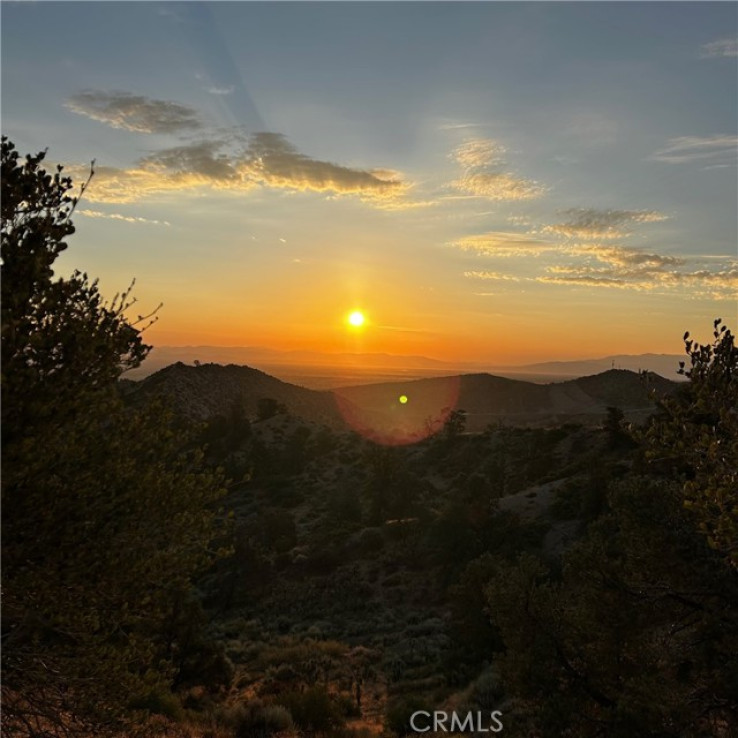  Land for Sale in Pinon Hills, California