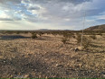  Land for Sale in Helendale, California