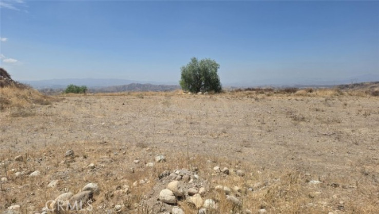  Land for Sale in Agua Dulce, California