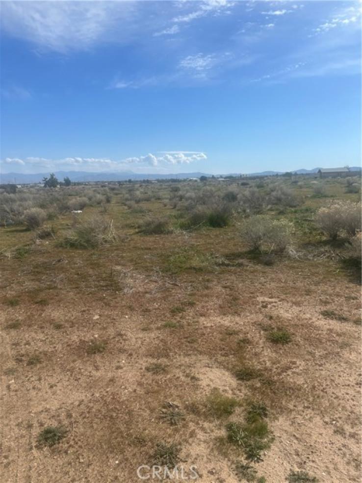 Land in Phelan