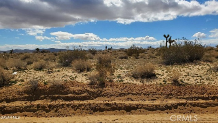  Land for Sale in Mojave, California